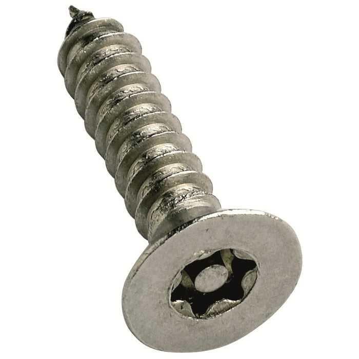 6 Lobe Pin Security Screw